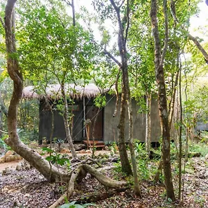 Ojo De Agua. Design+pool. Vive La Autentica Selva! Tulum